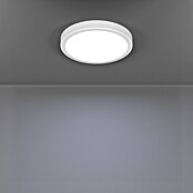 Eglo connect.z Okrogel LED panel Fueva 6-Z  (Ø x V: 28 x 2,5 cm, Barva ohišja: Bela, Barva svetlobe: RGBW) | Pametne stropne svetilke | Pametna stropna svetila | Smart Home svetila | Smart Home razsvetljava | Smart Home | Elektro in svetila | Izdelki | BAUHAUS