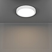 Eglo connect.z Okrogel LED panel Fueva 6-Z  (Ø x V: 28 x 2,5 cm, Barva ohišja: Bela, Barva svetlobe: RGBW) | Pametne stropne svetilke | Pametna stropna svetila | Smart Home svetila | Smart Home razsvetljava | Smart Home | Elektro in svetila | Izdelki | BAUHAUS