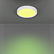Eglo connect.z Okrogel LED panel Fueva 6-Z  (Ø x V: 28 x 2,5 cm, Barva ohišja: Bela, Barva svetlobe: RGBW) | Pametne stropne svetilke | Pametna stropna svetila | Smart Home svetila | Smart Home razsvetljava | Smart Home | Elektro in svetila | Izdelki | BAUHAUS
