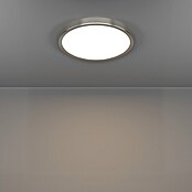 Eglo connect.z Okrogel LED panel Fueva 6-Z  (14,3 W, Ø x V: 28 x 2,5 cm, Barva svetlobe: RGBW) | 3016 - Deckenleuchte | CACB - Deckenleuchten | CAC - Indoorleuchten | CA - Beleuchtung | C - Elektro | BAUHAUS