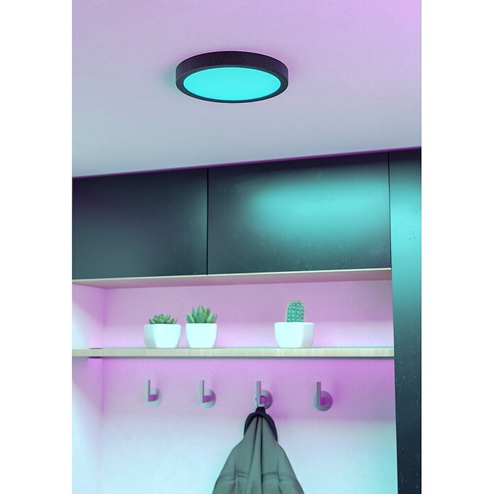 Eglo connect.z Okrogel LED panel Fueva 6-Z  (11,2 W, Ø x V: 21 x 2,5 cm, Barva svetlobe: RGBW) | 3016 - Deckenleuchte | CACB - Deckenleuchten | CAC - Indoorleuchten | CA - Beleuchtung | C - Elektro | BAUHAUS
