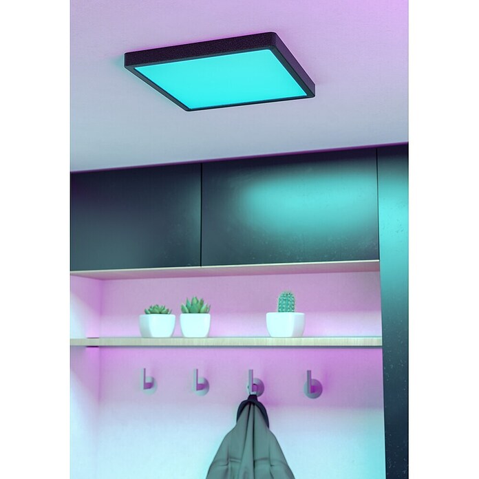 Eglo connect.z Okrogel LED panel Fueva 6-Z  (11,2 W, Ø x V: 21 x 2,5 cm, Barva svetlobe: RGBW) | 3016 - Deckenleuchte | CACB - Deckenleuchten | CAC - Indoorleuchten | CA - Beleuchtung | C - Elektro | BAUHAUS