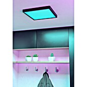 Eglo connect.z Okrogel LED panel Fueva 6-Z  (11,2 W, Ø x V: 21 x 2,5 cm, Barva svetlobe: RGBW) | 3016 - Deckenleuchte | CACB - Deckenleuchten | CAC - Indoorleuchten | CA - Beleuchtung | C - Elektro | BAUHAUS