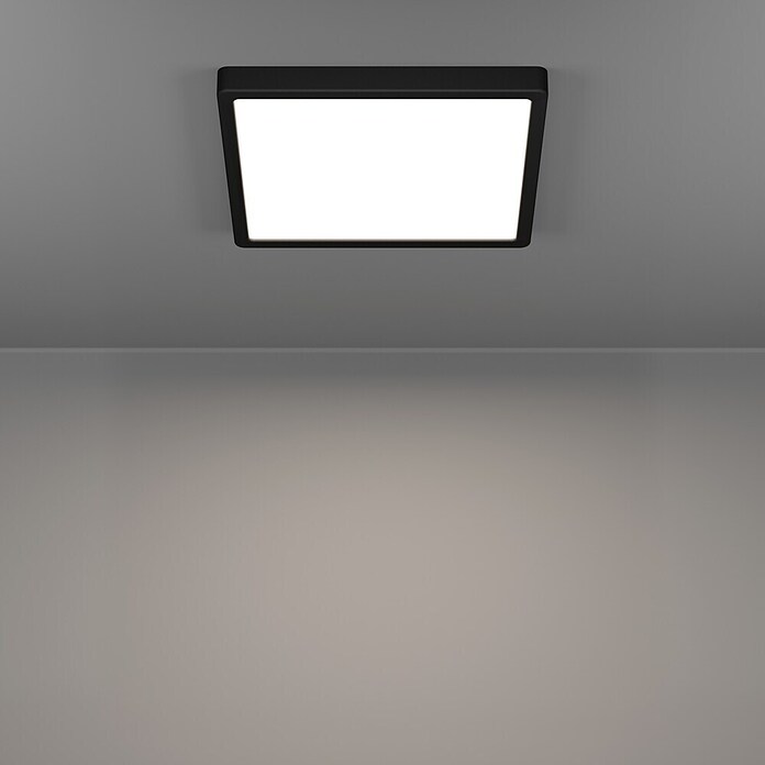 Eglo connect.z Okrogel LED panel Fueva 6-Z  (11,2 W, Ø x V: 21 x 2,5 cm, Barva svetlobe: RGBW) | 3016 - Deckenleuchte | CACB - Deckenleuchten | CAC - Indoorleuchten | CA - Beleuchtung | C - Elektro | BAUHAUS