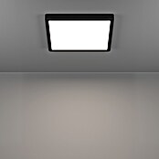 Eglo connect.z Okrogel LED panel Fueva 6-Z  (11,2 W, Ø x V: 21 x 2,5 cm, Barva svetlobe: RGBW) | 3016 - Deckenleuchte | CACB - Deckenleuchten | CAC - Indoorleuchten | CA - Beleuchtung | C - Elektro | BAUHAUS