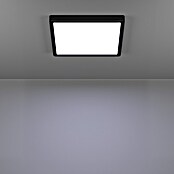 Eglo connect.z Okrogel LED panel Fueva 6-Z  (11,2 W, Ø x V: 21 x 2,5 cm, Barva svetlobe: RGBW) | 3016 - Deckenleuchte | CACB - Deckenleuchten | CAC - Indoorleuchten | CA - Beleuchtung | C - Elektro | BAUHAUS
