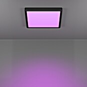 Eglo connect.z Okrogel LED panel Fueva 6-Z  (11,2 W, Ø x V: 21 x 2,5 cm, Barva svetlobe: RGBW) | 3016 - Deckenleuchte | CACB - Deckenleuchten | CAC - Indoorleuchten | CA - Beleuchtung | C - Elektro | BAUHAUS