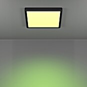 Eglo connect.z Okrogel LED panel Fueva 6-Z  (11,2 W, Ø x V: 21 x 2,5 cm, Barva svetlobe: RGBW) | 3016 - Deckenleuchte | CACB - Deckenleuchten | CAC - Indoorleuchten | CA - Beleuchtung | C - Elektro | BAUHAUS
