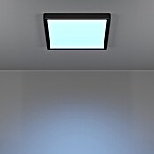 Eglo connect.z Okrogel LED panel Fueva 6-Z  (11,2 W, Ø x V: 21 x 2,5 cm, Barva svetlobe: RGBW) | 3016 - Deckenleuchte | CACB - Deckenleuchten | CAC - Indoorleuchten | CA - Beleuchtung | C - Elektro | BAUHAUS