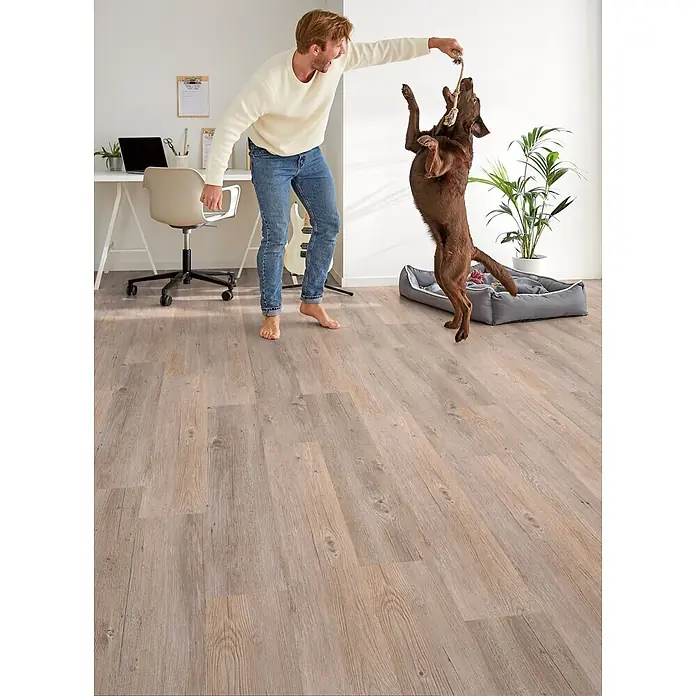 Decolife Designboden Freestyle Access Kenai Oak - 1.220 x 185 x 8,5 mm, Landhausdiele, Kenai Oak - Heller Holzboden mit natürlicher Maserung, ideal für aktive Wohnbereiche.