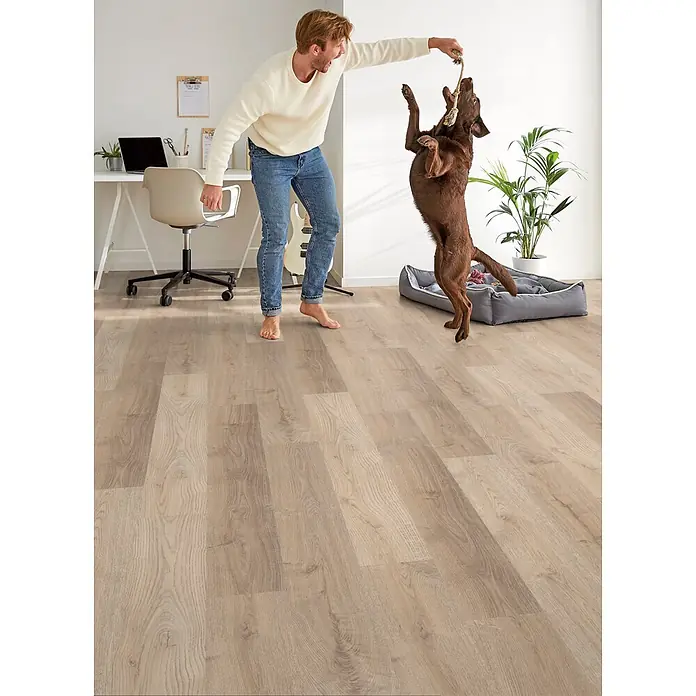 Decolife Designboden Freestyle Access Hardy Oak - 1.220 x 185 x 8,5 mm, Landhausdiele, Hardy Oak - Helles Holzdielen-Design mit natürlicher Maserung in modernem Interieur.