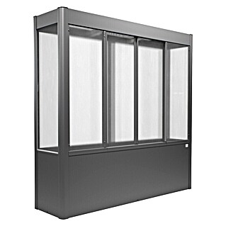 Biohort Florentina Gewächshaus (L x B x H: 54,8 x 201,6 x 197 cm, Quarzgrau Metallic, Stahl)