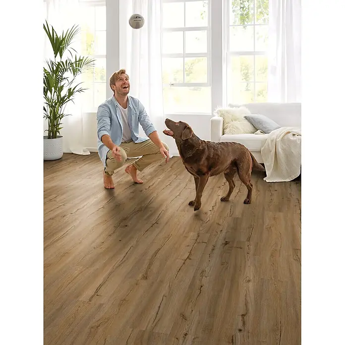 Decolife Designboden Freestyle Access Golden Rustic Oak - 1.220 x 185 x 8,5 mm, Landhausdiele, Golden Rustic Oak - Helle, holzfarbene Bodenplatten in einem hellen Wohnzimmer. Ein Mann und sein Hund genießen die robuste, stilvolle Oberfläche.