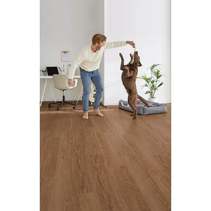 Decolife Designboden Freestyle Access Hazelnut Oak - 1.220 x 185 x 8,5 mm, Landhausdiele, Hazelnut Oak - Mann und Hund spielen auf braunem Holzboden in einem modernen Zuhause.