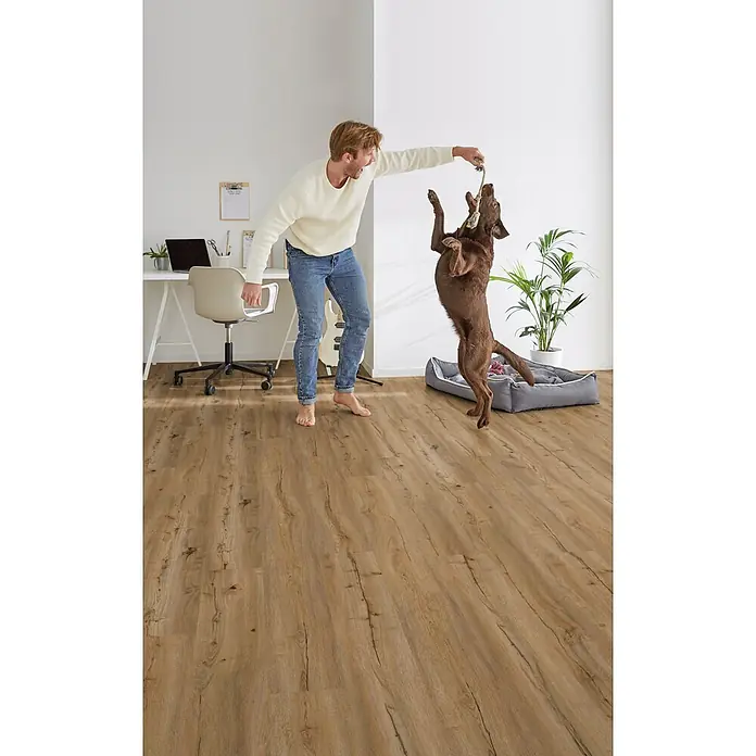 Decolife Designboden Freestyle Access Golden Rustic Oak - 1.220 x 185 x 8,5 mm, Landhausdiele, Golden Rustic Oak - Hellbrauner Holzboden in einem Heimbüro, auf dem ein Mann mit seinem Hund spielt, was seinen natürlichen Look hervorhebt.