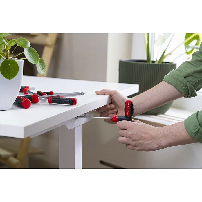 Alpha Tools Set de llaves Allen (8 pzs.) | BAUHAUS