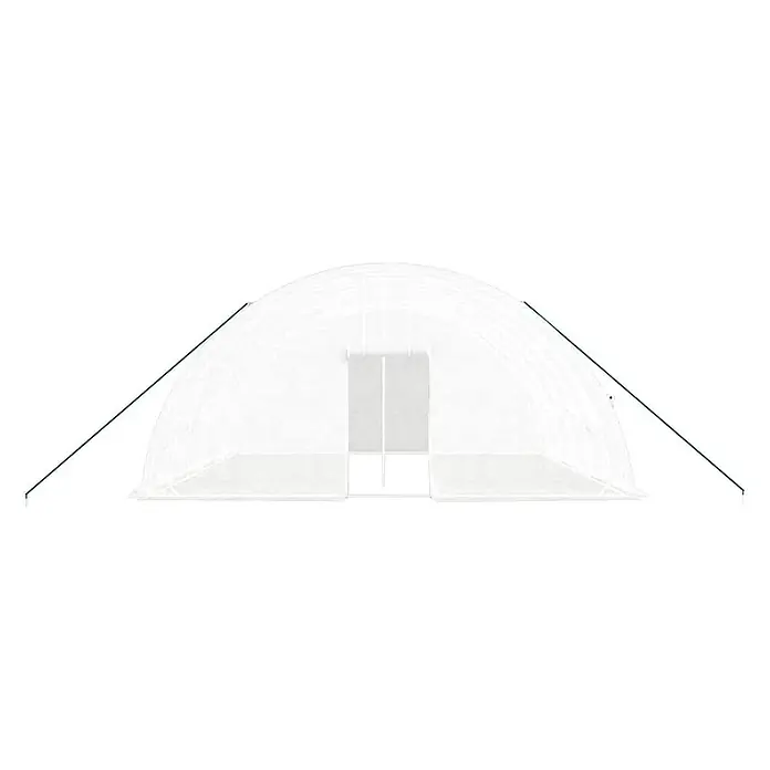 Furnicato Gewächshaus verzinkter Stahl - 6 x 6 cm, Material Seitenwand: Kunststoff, 38 mm, Grau - Weißes, halbtransparentes Folientunnel-Gewächshaus mit Doppeltür und dunkelgrünen Spannseilen.