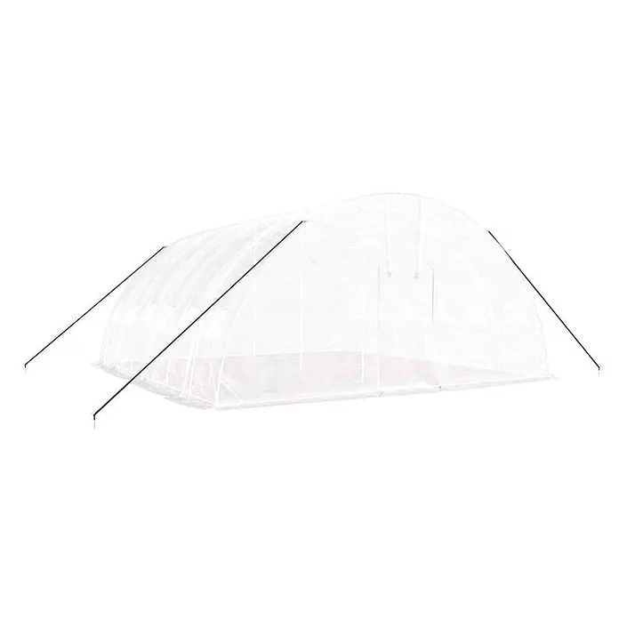 Furnicato Gewächshaus verzinkter Stahl - 6 x 6 cm, Material Seitenwand: Kunststoff, 38 mm, Grau - Weißes, transparentes Tunnelgewächshaus mit grünen Stützstangen für den Pflanzenschutz.