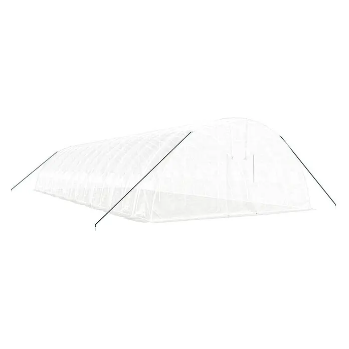 Furnicato Gewächshaus verzinkter Stahl - 16 x 6 cm, Material Seitenwand: Kunststoff, 38 mm, Grau - Weißer, durchscheinender Gewächshaustunnel mit grünen Stützstangen zum Pflanzenschutz.