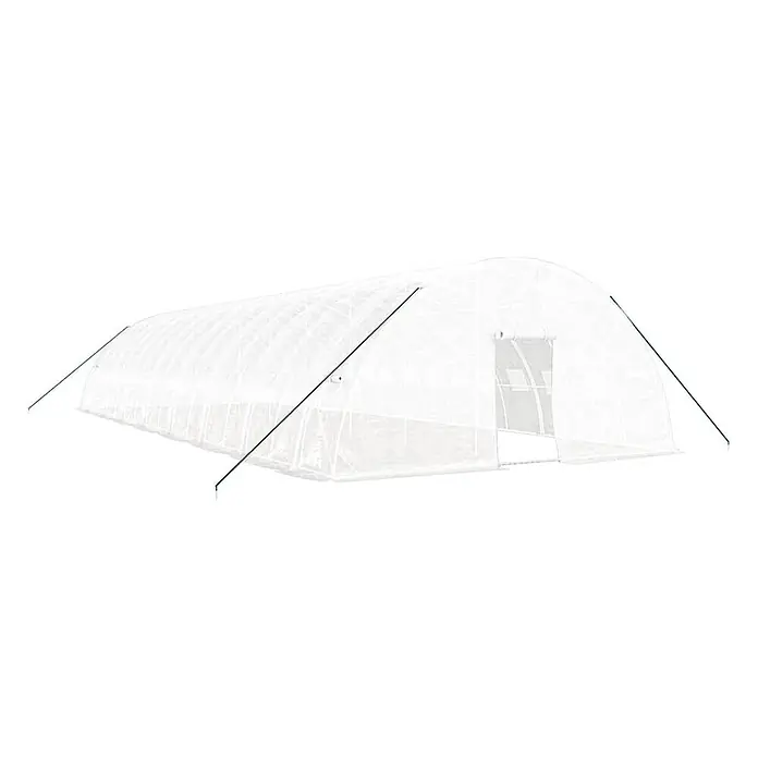 Furnicato Gewächshaus verzinkter Stahl - 16 x 6 cm, Material Seitenwand: Kunststoff, 38 mm, Grau - Ein großer weißer, transparenter Gewächshaustunnel mit sichtbarer Innenstruktur und grünen Stützstangen.