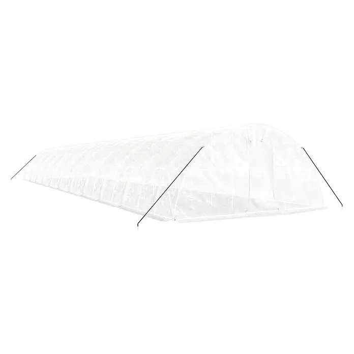 Furnicato Gewächshaus - Außenmaß inkl. Dachüberstand (B x T): 500 x 2.200 cm, Material Seitenwand: Kunststoff, 38 mm, Grau - Weißes, durchscheinendes Folientunnel-Gewächshaus mit grünen Stützstangen.