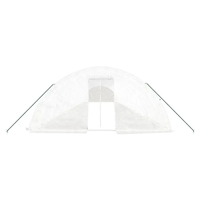 Furnicato Gewächshaus - Außenmaß inkl. Dachüberstand (B x T): 500 x 2.200 cm, Material Seitenwand: Kunststoff, 38 mm, Grau - Weißes, durchscheinendes Tunnelgewächshaus mit grünen Stützstangen.