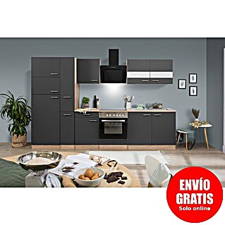 Respekta Composición de cocina Merle (Ancho: 300 cm, Gris, Con electrodomésticos, Volumen horno: 72 l)