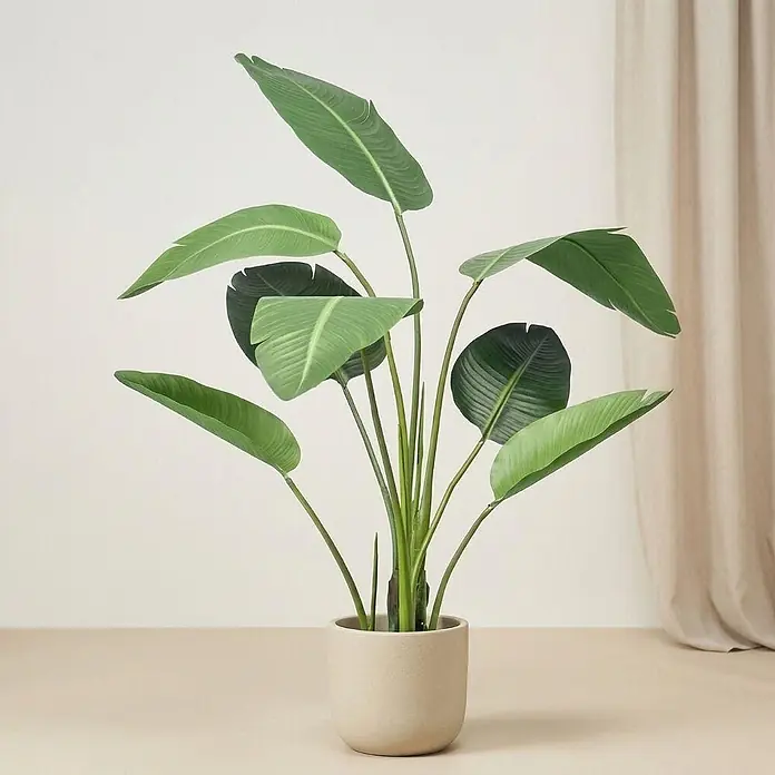 Florora Kunstpflanze Strelitzia - Höhe: 120 cm, Holz - Grüne Strelitzie in einem hellbeigen, runden Topf, für stilvolle Innendekoration.