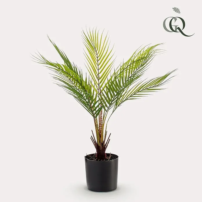 Florora Kunstpflanze Bergpalme - Höhe: 50 cm, Holz - Künstliche Palme mit grünen Wedeln in einem schwarzen Topf.