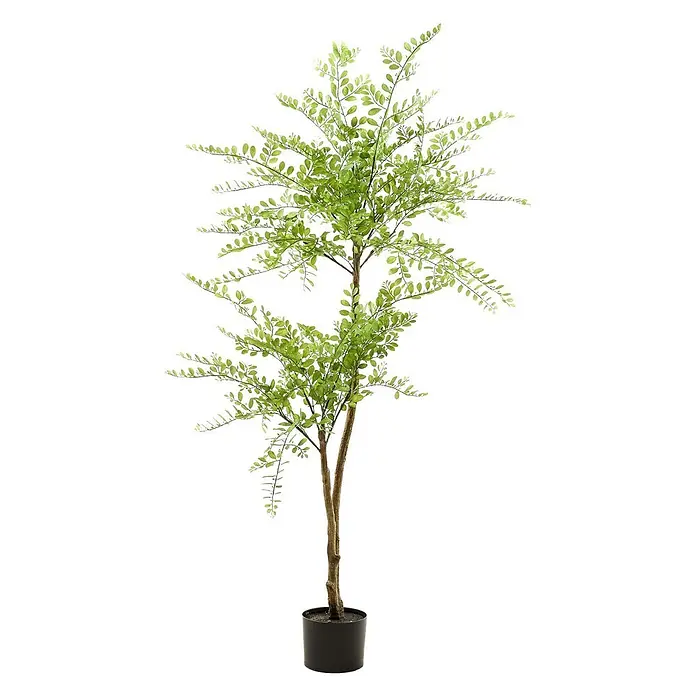 Florora Kunstpflanze Schnurbaum - Höhe: 140 cm, Holz - Künstlicher Baum mit schlanken braunen Stämmen, grünen Blättern und schwarzem Topf.