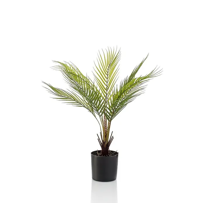 Florora Kunstpflanze Bergpalme - Höhe: 50 cm, Holz - Eine künstliche grüne Palme mit spitzen Blättern in einem schlichten schwarzen Topf.