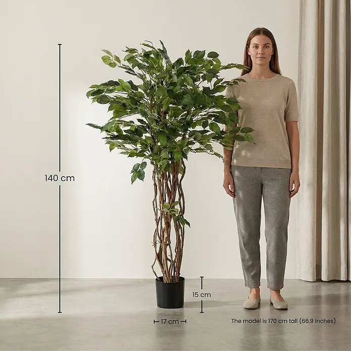 Florora Kunstpflanze Ficus Liana online kaufen bei BAUHAUS