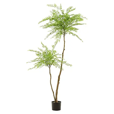 Florora  Kunstpflanze Schnurbaum