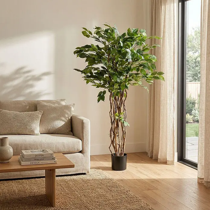 Florora Kunstpflanze Ficus Liana online kaufen bei BAUHAUS