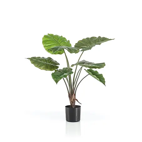 Florora  Kunstpflanze Alocasia