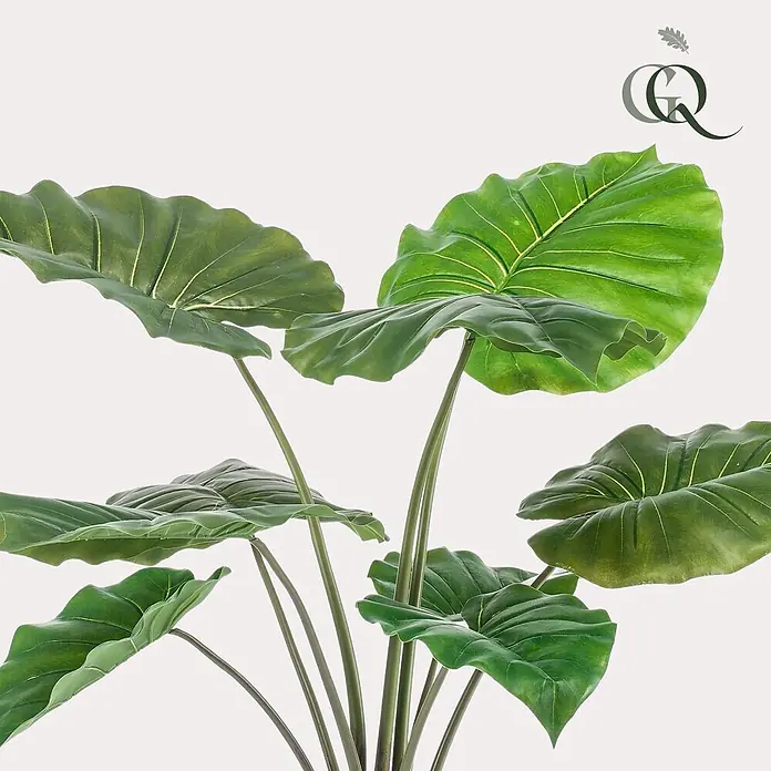 Florora Kunstpflanze Alocasia - Höhe: 70 cm, Holz - Künstliche Alocasia-Pflanze mit großen grünen Blättern und auffälligen helleren Blattadern.