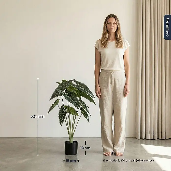 Florora Kunstpflanze Alocasia - Höhe: 80 cm, Holz - Künstliche Alocasia-Pflanze, 80 cm hoch, mit schwarzem Topf, zur Größendarstellung neben einem 170 cm großen Modell.