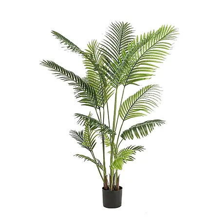 Florora  Kunstpflanze Kentia-Palme