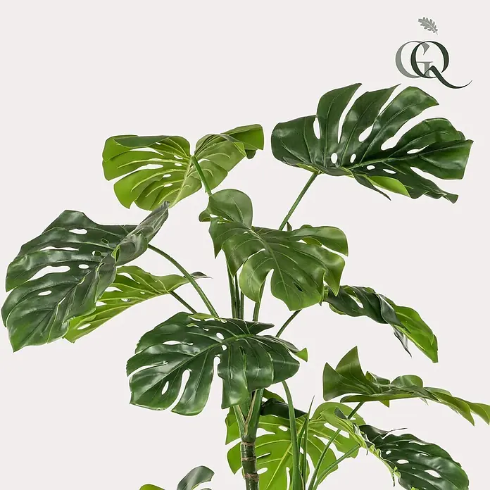 Florora Kunstpflanze Fensterblatt - Höhe: 180 cm, Holz - Dekorative künstliche Monstera-Pflanze mit großen, grünen gelochten Blättern.