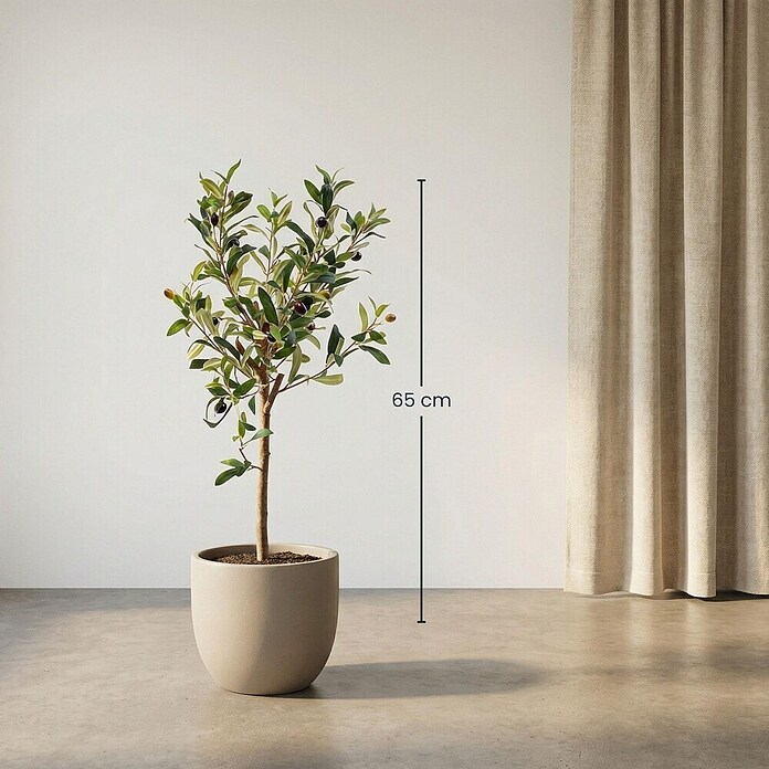 Florora Kunstpflanze Olivenbaum online kaufen bei BAUHAUS