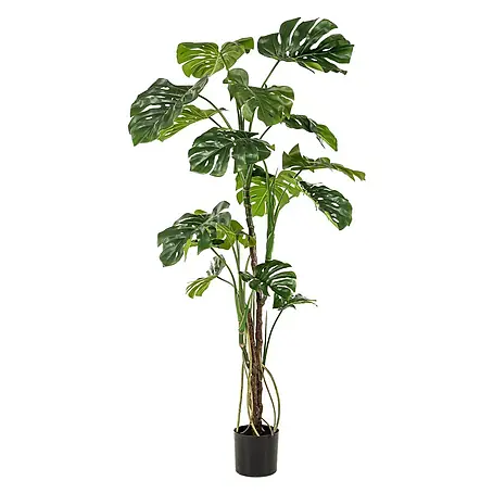 Florora  Kunstpflanze Fensterblatt