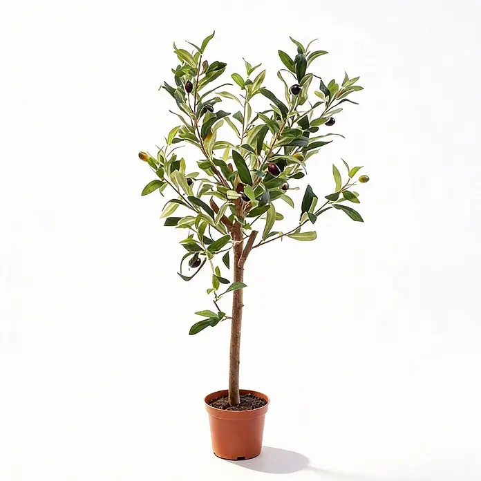 Florora Kunstpflanze Olivenbaum - Höhe: 65 cm, Holz - Künstlicher Olivenbaum mit grünen Blättern und Oliven in einem braunen Topf.