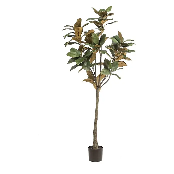 Florora Kunstpflanze Magnolie - Höhe: 150 cm, Blütenfarbe: Weiß, Holz - Künstlicher Magnolienbaum mit grünen und braunen Blättern in einem dunkelbraunen Topf.