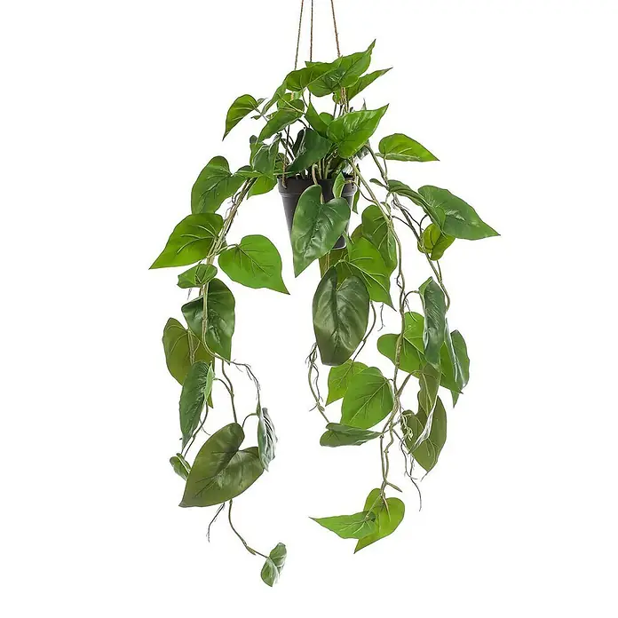 Florora Kunstpflanze Philodendron - Höhe: 80 cm, Holz - Künstliche Hängepflanze mit grünen Blättern in einem schwarzen Topf.