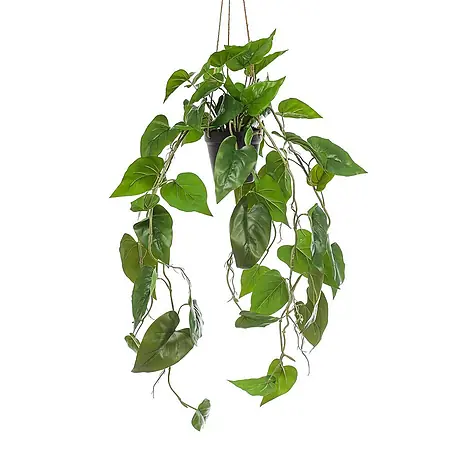 Florora  Kunstpflanze Philodendron