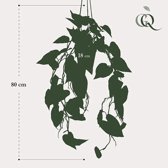 Florora Kunstpflanze Philodendron - Höhe: 80 cm, Holz - Dunkelgrüne Silhouette einer Hängepflanze, 80 cm lang und 18 cm breit.