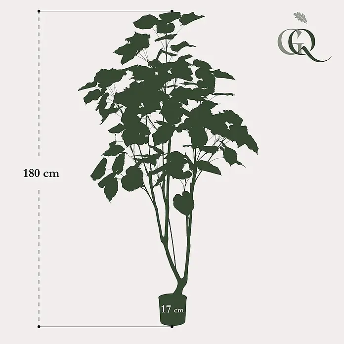 Florora Kunstpflanze Ficus Umbellata - Höhe: 180 cm, Holz - Hohe, dunkelgrüne Topfpflanzen-Silhouette, 180 cm hoch, mit 17 cm Topf.