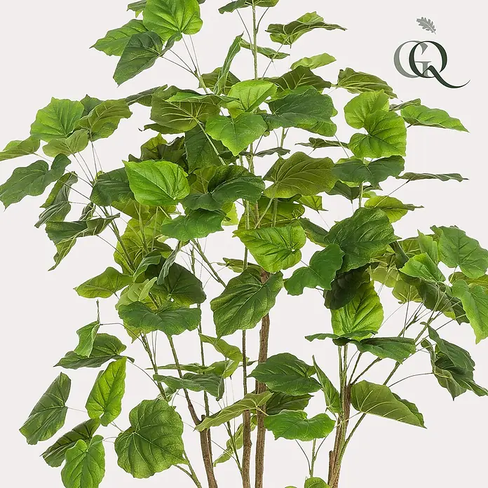 Florora Kunstpflanze Ficus Umbellata - Höhe: 180 cm, Holz - Üppige Kunstpflanze mit vielen großen, grünen Blättern und braunen Stielen.