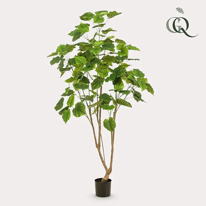 Florora Kunstpflanze Ficus Umbellata - Höhe: 180 cm, Holz - Hohe Kunstpflanze mit grünen, herzförmigen Blättern und braunen Stielen in einem schwarzen Topf.