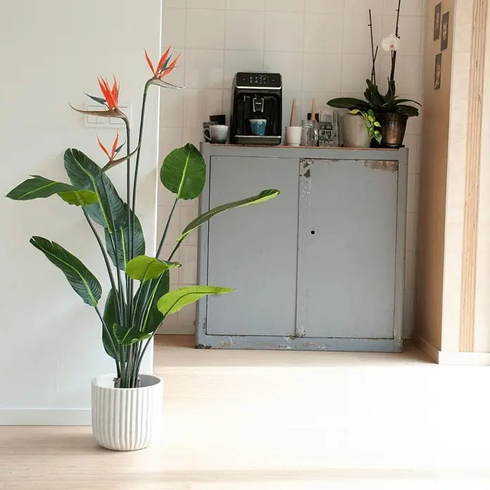 Florora Kunstpflanze Strelitzia mit Blüten - Höhe: 120 cm, Blütenfarbe: Orange/Blau, Holz - Große künstliche Strelitzie mit orangefarbenen Blüten und grünen Blättern in einem weißen Rillentopf, zur Innendekoration.